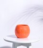 Orange Ceramic Football Shape Desk Pot Desk Pot