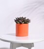 Orange Ceramic Pipe Shape Desk Pot Planter