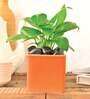 Orange Ceramic Square Shape Desk Pot Planter