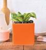 Orange Ceramic Square Shape Desk Pot Planter