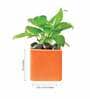 Orange Ceramic Square Shape Desk Pot Planter