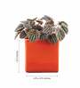Orange Ceramic Square Shape Desk Pot Planter