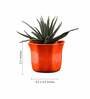 Orange Ceramic Star Shape Desk Pot Planter