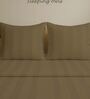 Brown Cotton 300TC 2CM Striped Super King Bedsheet with 2 Pillow Covers