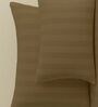 Brown Cotton 300TC 2CM Striped Super King Bedsheet with 2 Pillow Covers