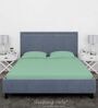 Green Cotton Solid Finest 300TC Plain Super King Bedsheet with 2 Pillow Covers
