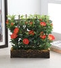 Fabric Orange Morning Glory Artificial Plants