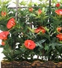 Fabric Orange Morning Glory Artificial Plants