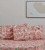 Peach Floral 136 TC Cotton Blend Queen Sized Bed Sheets with 2 Pillow Covers