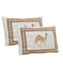Orange Abstract 144 TC Cotton King Bedsheet and 2 Pillow Cover
