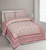 Orange Floral 144 TC Cotton King Bedsheet and 2 Pillow Cover