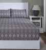 Orange Geometric Print 144 TC Cotton Double Bed Fitted Sheet with 2 Pillow Case Sensory Bloom Collection