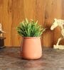 Orange Glossy Flower Pot Single