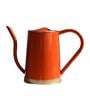 Orange Metal Premium Watering Can