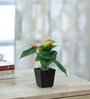 Plastic Orange Real Touch Calla Lily Flower Artificial Plants
