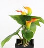 Plastic Orange Real Touch Calla Lily Flower Artificial Plants