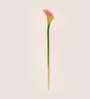 Orange Polyester Artificial Callalily Flower