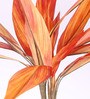 Orange Polyester Artificial Draceana Plant Without Pot