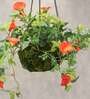Orange Polyester Artificial Morning Glory Hanging Creeper Plant with Hanging Metal Stand