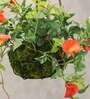 Orange Polyester Artificial Morning Glory Hanging Creeper Plant with Hanging Metal Stand