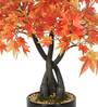 Polyester Orange Japanese Maple Bonsai With Glossy Ceramic Pot Artificial Plants