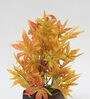 Orange Polyster Japanese Maple Leaves Artificial Plant With Wooden Pot