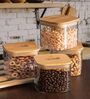 Versatile Glass Storage Container (Set of 2)