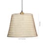 Veloro Gold Iron Hanging Light