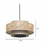Thomas Orbit Natural Bamboo Hanging Light