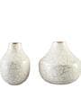 Orca White Iron (Pack of 2) Vases