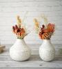 Orca White Iron (Pack of 2) Vases