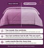Purple & Lavender 200 GSM Reversible Comforter