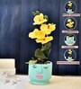 Orchids Blue & Yellow Ceramic & Plastic Artificial Plant With Pot
