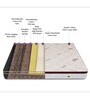 Organic Pride 6 inch Bonnell Spring Single Mattress