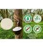Organic Ergonomic 75x48x9 inch Latex Queen Size Mattress