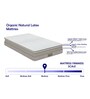 Organic Ergonomic 75x48x9 inch Latex Queen Size Mattress
