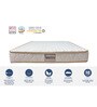 Organic Ergonomic 75x48x9 inch Latex Queen Size Mattress