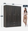 Organza Plus 4 Door Wardrobe In Wenge  Colour