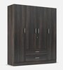 Organza Plus 4 Door Wardrobe In Wenge  Colour