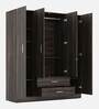 Organza Plus 4 Door Wardrobe In Wenge  Colour