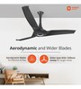 Orient Electric Aerostorm 1320mm Premium Ceiling Fan (Charcoal Grey)