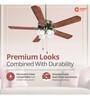 Orient Electric Subaris 1300mm Decorative Underlight 5-Blade Ceiling Fan, All Weather Operation, 100% Copper Motor (Antique Brass