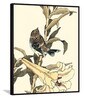 Oriental Bird Multicolor Canvas Framed Wildlife Art Panels Set of 3