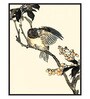 Oriental Bird Multicolor Canvas Framed Wildlife Art Panels Set of 3