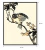 Oriental Bird Multicolor Canvas Framed Wildlife Art Panels Set of 3
