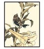Oriental Bird Multicolor Canvas Framed Wildlife Art Panels Set of 3