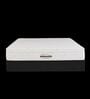 Original Classic 10 Inch HR Foam Queen Size Mattress