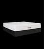 Original Classic 8 Inch HR Foam King Size Mattress