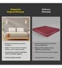 Original Ortho Mattress with AirGen  Memory Foam Upgrade 10 Inch Single Size Mattress With Softtouch Bamboo Zipper Cover