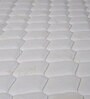 Original Orthopedic Pocket Spring 8 Inch HR Foam Queen Size Mattress